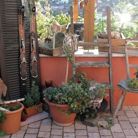 Ferienwohnung Im Paradies Momlingen Экстерьер фото