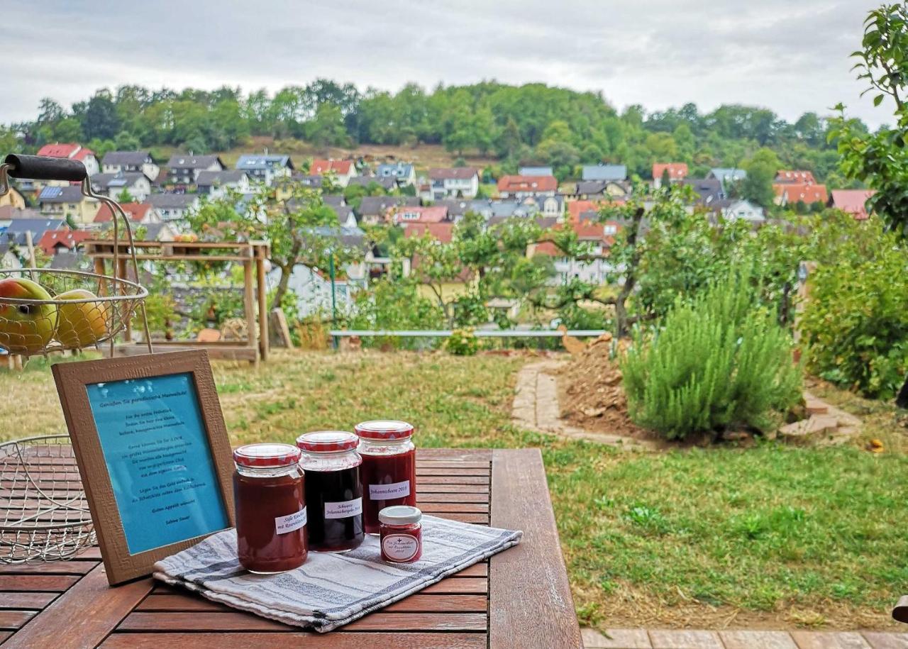 Ferienwohnung Im Paradies Momlingen Экстерьер фото